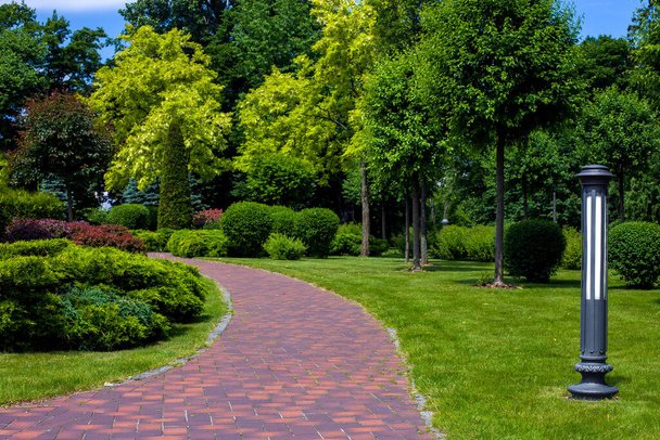 lantern iron ground garden lighting of park curved path paved with stone tiles in backyard among plants, evergreen bushes and foliage trees surrounded by green lawn on sunny summer day, nobody. - Photo, Image