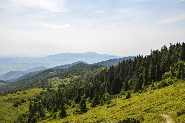 Ein Blick vom Bergrücken hinunter auf die Wiesen- und Waldhügel. Karpaten, Ukraine. Stille und Harmonie der Natur. - Foto, Bild
