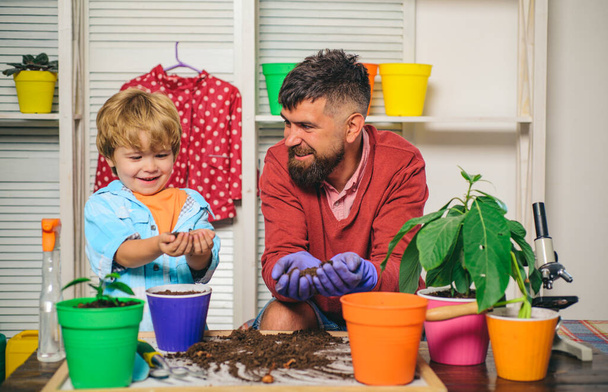 Happy family garden. Father and son grow flowers. Family hobby. Weekend Idea. - Foto, Imagem