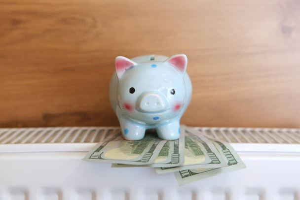 Pig piggy bank and dollar bills on a radiator indoors close-up. Heating concept. - Photo, Image