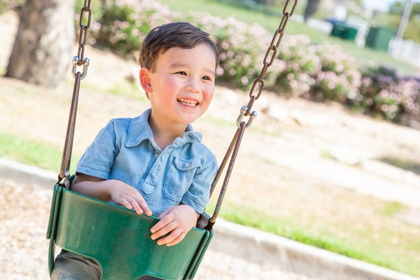Chinese and Caucasian Boy Having Fun On The Swings At Playground. - 写真・画像