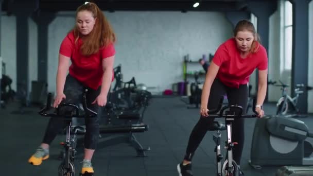 Gruppo di ragazze esegue allenamento aerobico allenamento cardio routine su simulatori di bici, ciclo di allenamento - Filmati, video
