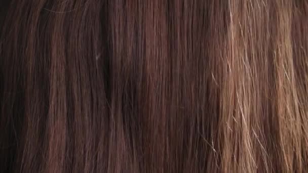 cuidado do cabelo, belo cabelo saudável penteado com um pente após a lavagem e secagem, close-up - Filmagem, Vídeo