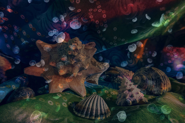 Composition sur le thème du monde sous-marin. - Photo, image