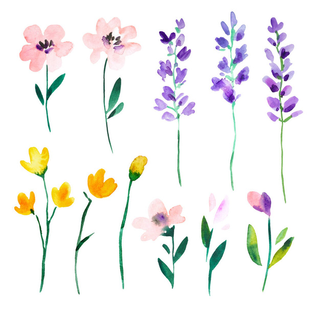 Watercolor wild meadow abstract flowers and lavender branches isolated on white background. Big set of botanical design elements for decor and greeting cards. - Фото, зображення