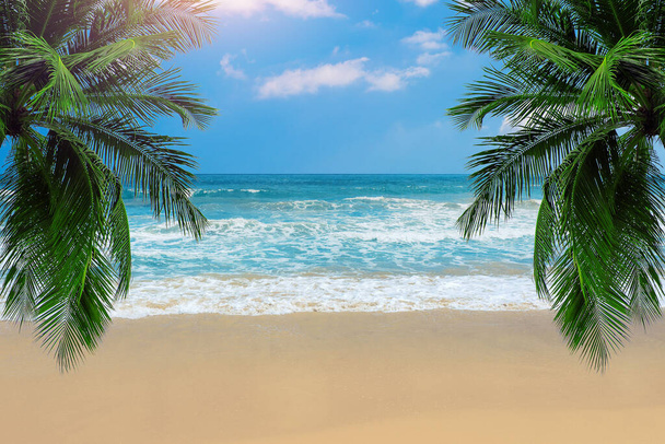 Beautiful beach and palm tree, Nature background. - Zdjęcie, obraz