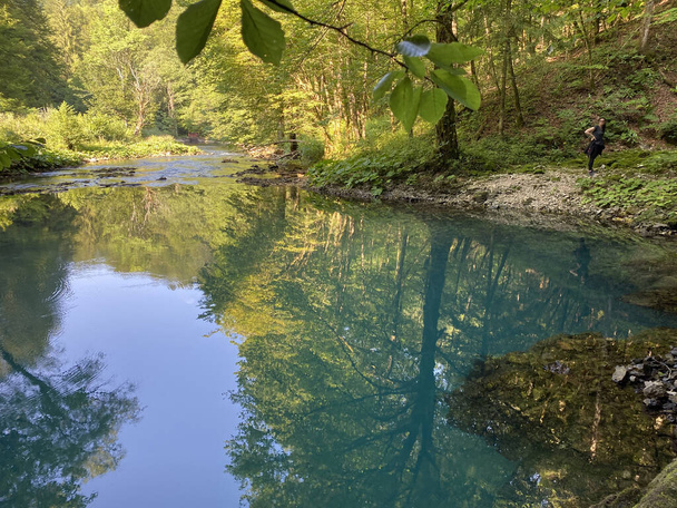 The source of the river Kupica or the spring of Kupica, Donje Tihovo - Gorski Kotar County, Croatia (Izvor rijeke Kupice ili vrelo Kupice, Mala Lesnica - Gorski kotar, Hrvatska) - Фото, изображение