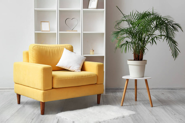 Желтое кресло с домашним растением и стеллажом у светлой стены - Фото, изображение