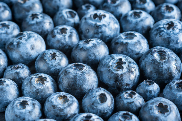 fresh ripe blueberries closeup background - Photo, Image