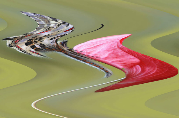 Motivo astratto a zig-zag con onda a tema floreale. Rendering artistico creato con foto di anemone rosso e farfalla festone foresta. - Foto, immagini