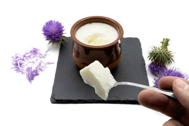 Показ полностью самодельного творога из натурального тернового сыра на белом фоне - Фото, изображение