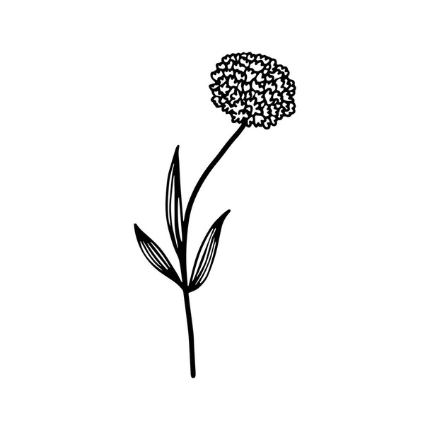 Black and white illustration of a dahlia on a long stem. Single isolated abstract dahlia flower on white background. Doodle flower for prints, cards, invitations. - Vetor, Imagem