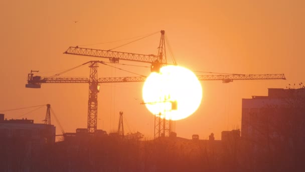 Dunkle Silhouette von Turmdrehkranen mit großer untergehender Sonne auf der Baustelle hoher Wohnhäuser bei Sonnenuntergang. Immobilienentwicklung - Filmmaterial, Video