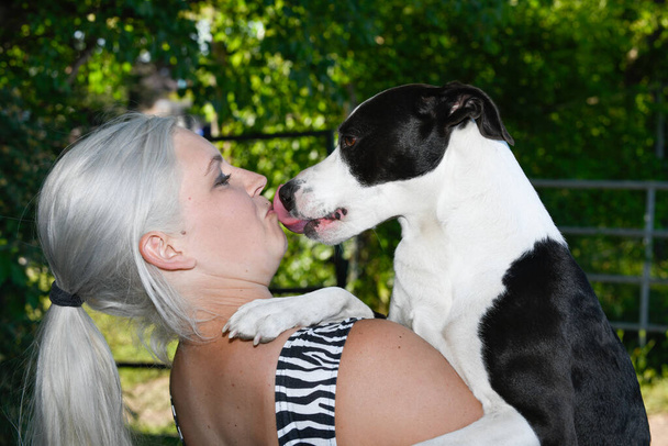 A cute hugged dog is giving his female owner a loveful wet kiss. - Zdjęcie, obraz
