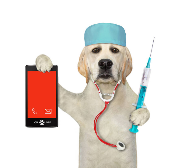 A dog labrador doctor in a medical hat with a stethoscope holds a syringe and a smartphone. White background. Isolated. - Photo, image