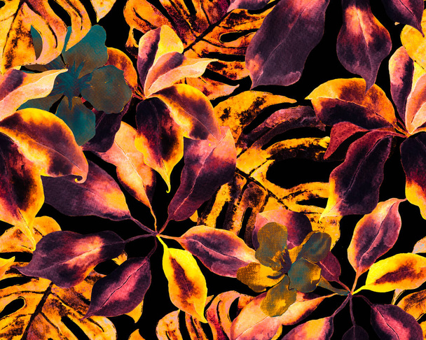 Schefflera Arboricola saumaton kuvio. Keltainen ja musta Evergreen Variegated Walisongo kasvi eksoottisia kukkia. Kasvitieteellinen vesivärituloste. Schefflera Actinophylla Hayata toistuva koriste - Valokuva, kuva