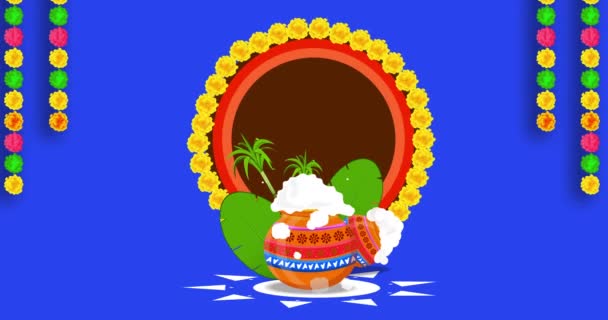 Mutlu Pongal festivalleri. Mavi Ekran Alfa Kanalı ile animasyon. 4k - Video, Çekim