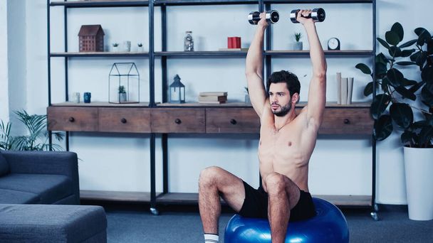 shirtless young sportsman holding heavy dumbbells above head and sitting on fitness ball at home  - 写真・画像