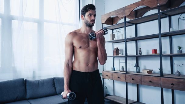 izmos férfi rövidnadrágban edzés nehéz súlyzók közelében állvány  - Fotó, kép