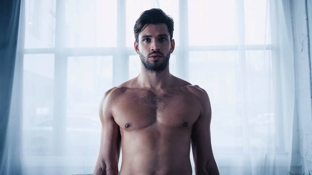 athletic and shirtless man looking at camera - Foto, afbeelding
