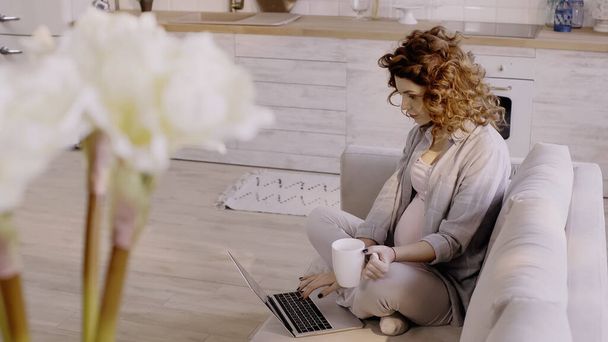 Young pregnant woman using laptop and holding cup at home  - Φωτογραφία, εικόνα