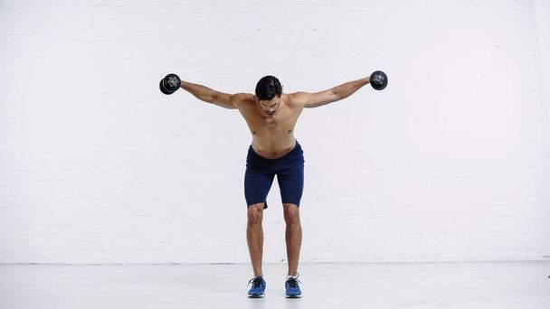 full length of shirtless man in shorts and sneakers training with dumbbells on white - Foto, immagini
