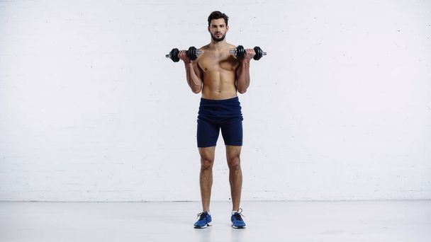 full length of sportive and shirtless man in shorts and sneakers working out with dumbbells against white brick wall  - Foto, afbeelding