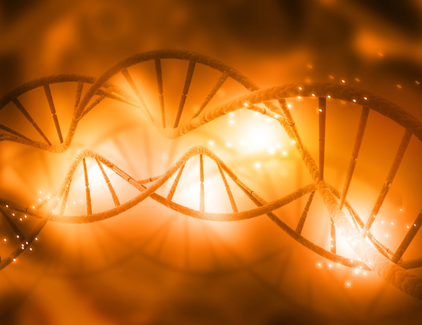 ДНК-структура
 - Фото, изображение