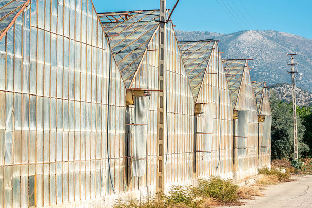 large farm greenhouses against the backdrop of mountains - Foto, Bild