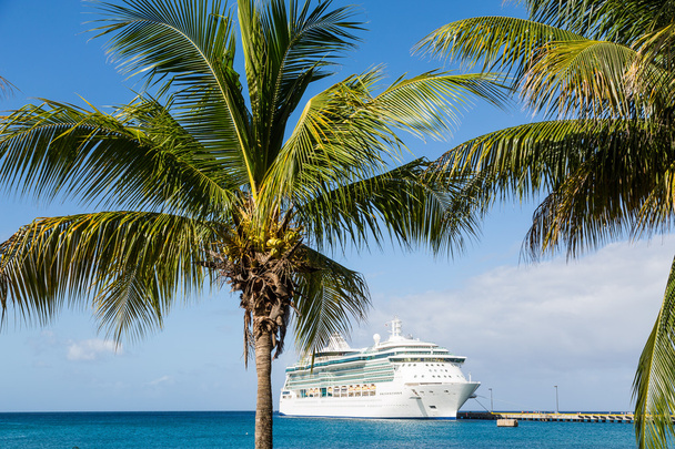 výletní loď na modravě palmy - Fotografie, Obrázek