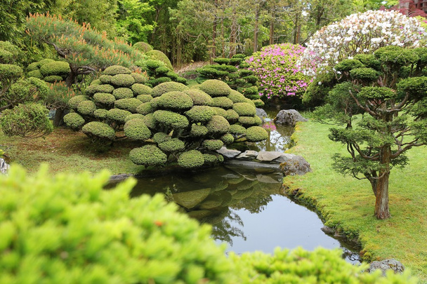ιαπωνικό κήπο Σαν Φρανσίσκο - Φωτογραφία, εικόνα