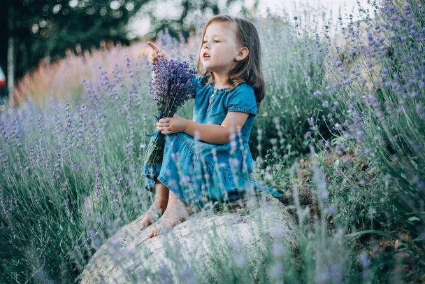 Little girl 3-4 with dark hair sits on stone among large bushes of lavender with bouquet of flowers, pointing forward - Foto, immagini
