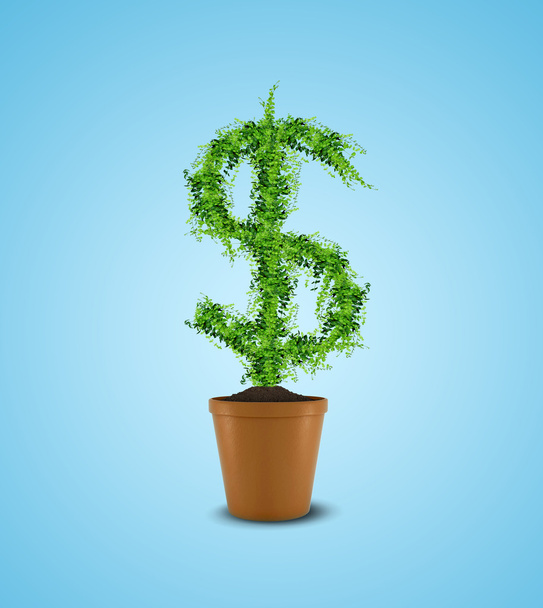 Dollar tree in plant pot. Wealth concept - Foto, imagen