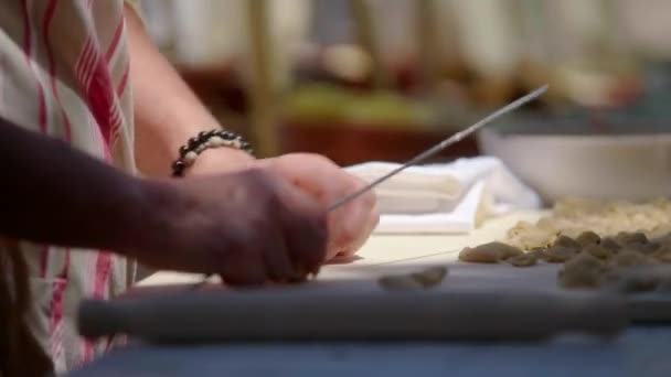 pasta hecha a mano según la antigua tradición italiana - Metraje, vídeo
