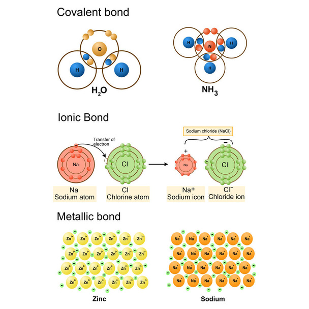 Isolated of chemical bonding on white background.vector illustration.covalent bond,Ionic bond,Metallic bond model. Science,education. - Vector, Image