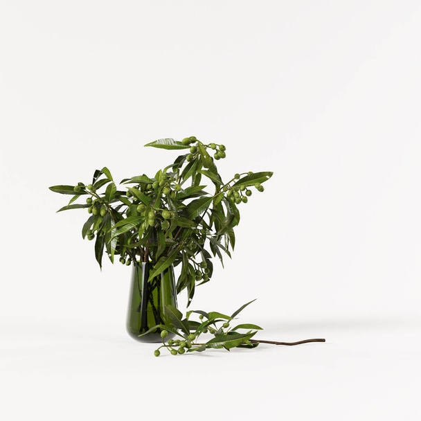 Decorative olive branch in glass green vase isolated on white background. - Fotó, kép