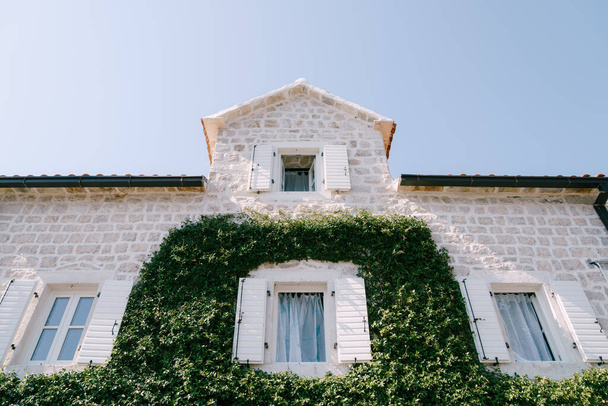 Stone facade of the building is entwined with green ivy with shutters on the windows - Fotó, kép