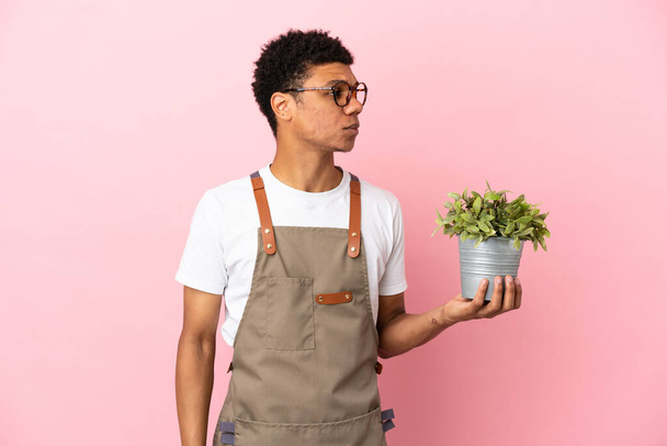 Gardener African man holding a plant isolated on pink background looking to the side - Фото, зображення