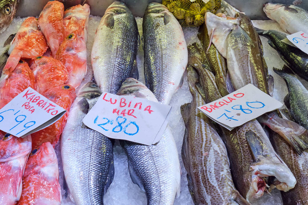 Fresh fish for sale at a market in Bilbao, Spain - Photo, Image