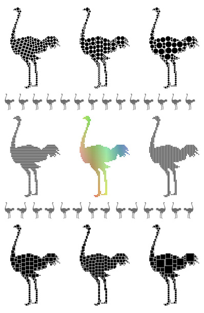 Siluetas de avestruz
 - Vector, imagen