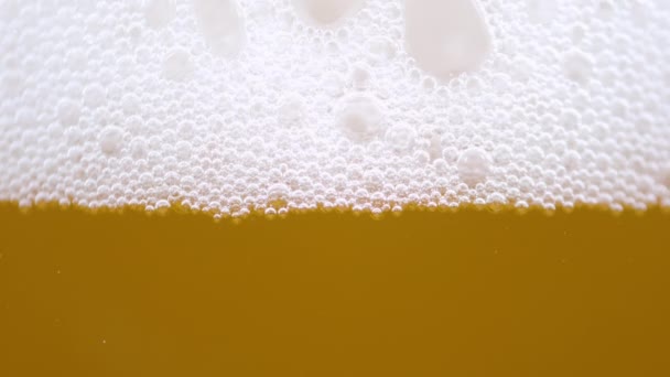 MACRO: Tiny bubbles form the foam on top of a glass full of pale ale beer. - Filmati, video