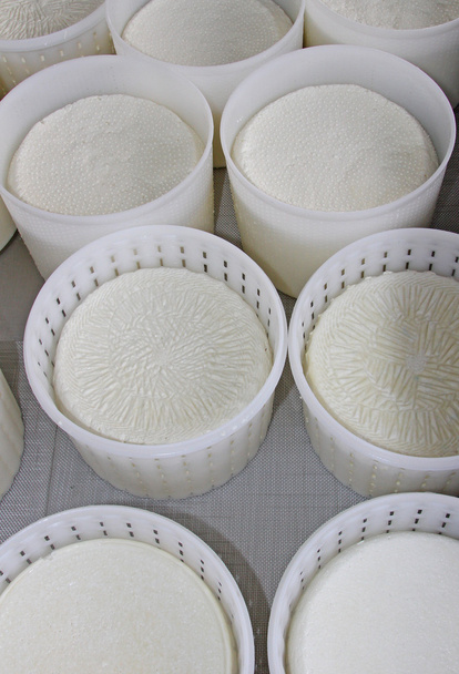 сирні кошики рикотти, щойно виготовлені в молочному
 - Фото, зображення