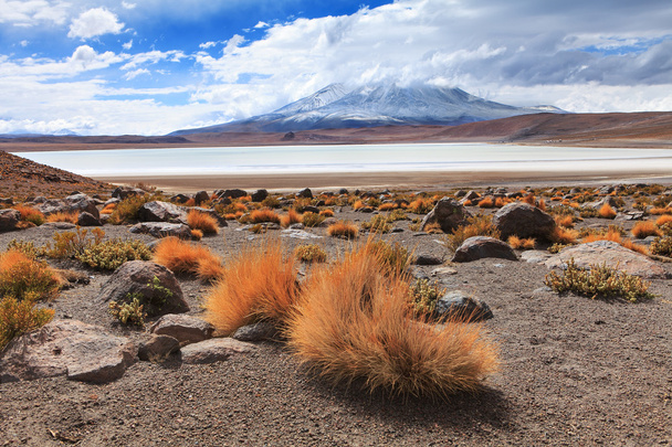 Paysage bolivien
 - Photo, image