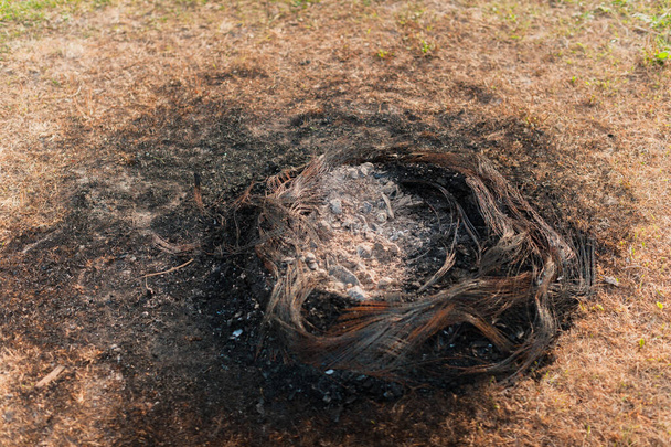 Remains of a burnt tire in the form of a metal base, polluting the environment. - Valokuva, kuva