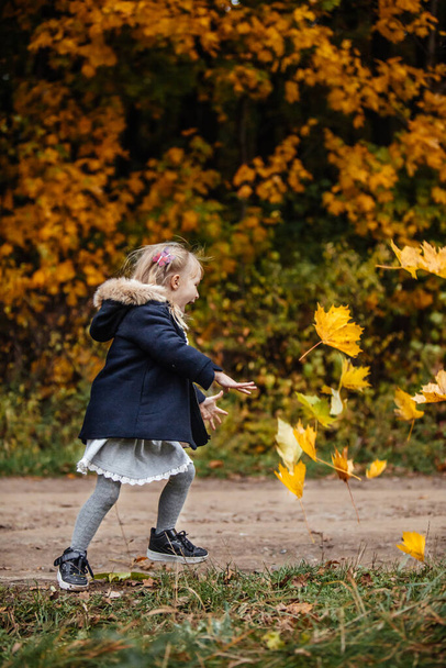 手にカエデの葉を持つ秋の衣装のかわいい女の子の肖像画 - 写真・画像