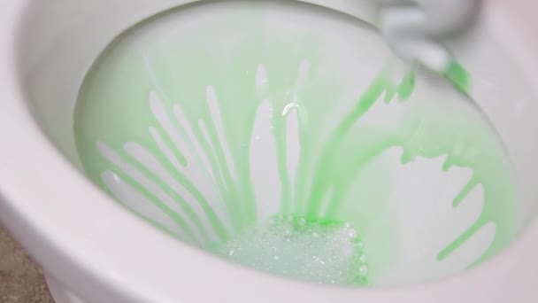 Kadın klozeti çamaşır deterjanıyla temizleyip dezenfekte ediyor. - Video, Çekim