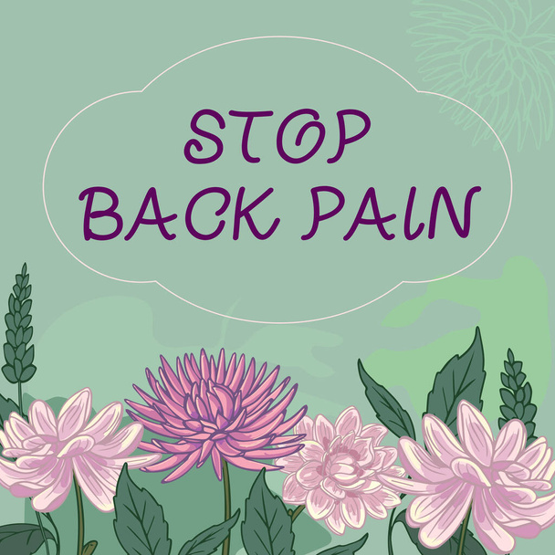 Handschriftliches Zeichen Stop Back Pain. Der geschäftliche Überblick beendete die Schmerzen, die im unteren oder oberen Rückenbereich zu spüren waren.. - Foto, Bild