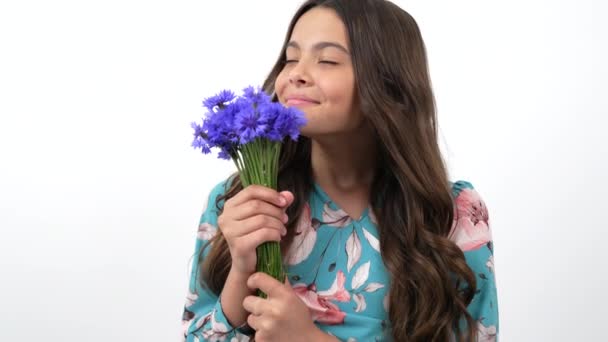 portrait of happy child smell centaurea wildflower flower bouquet selective focus, 8 march - Footage, Video