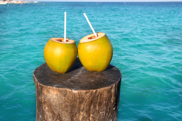 Fresh two coconuts juice water straws in caribbean - Photo, Image