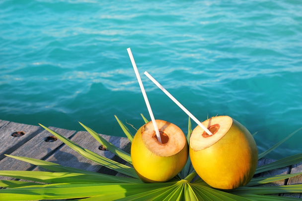 Coconuts cocktail palm tree leaf in Caribbean - Fotoğraf, Görsel